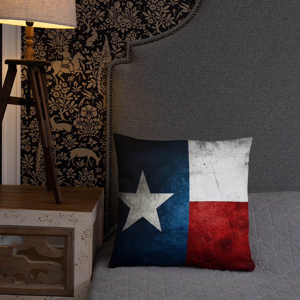 Lone Star State Pillow