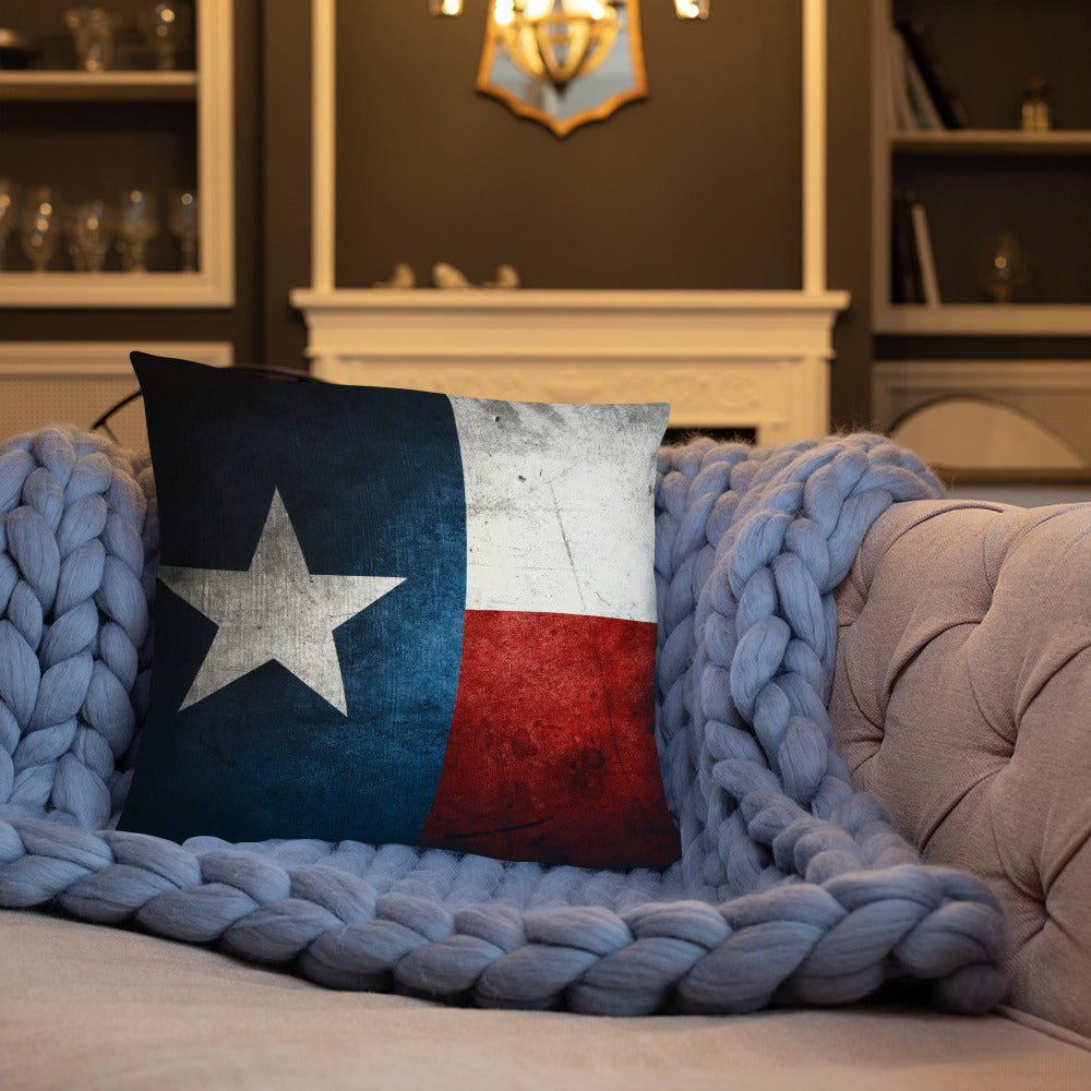 Lone Star State Pillow