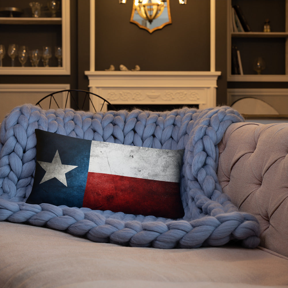 Lone Star State Pillow