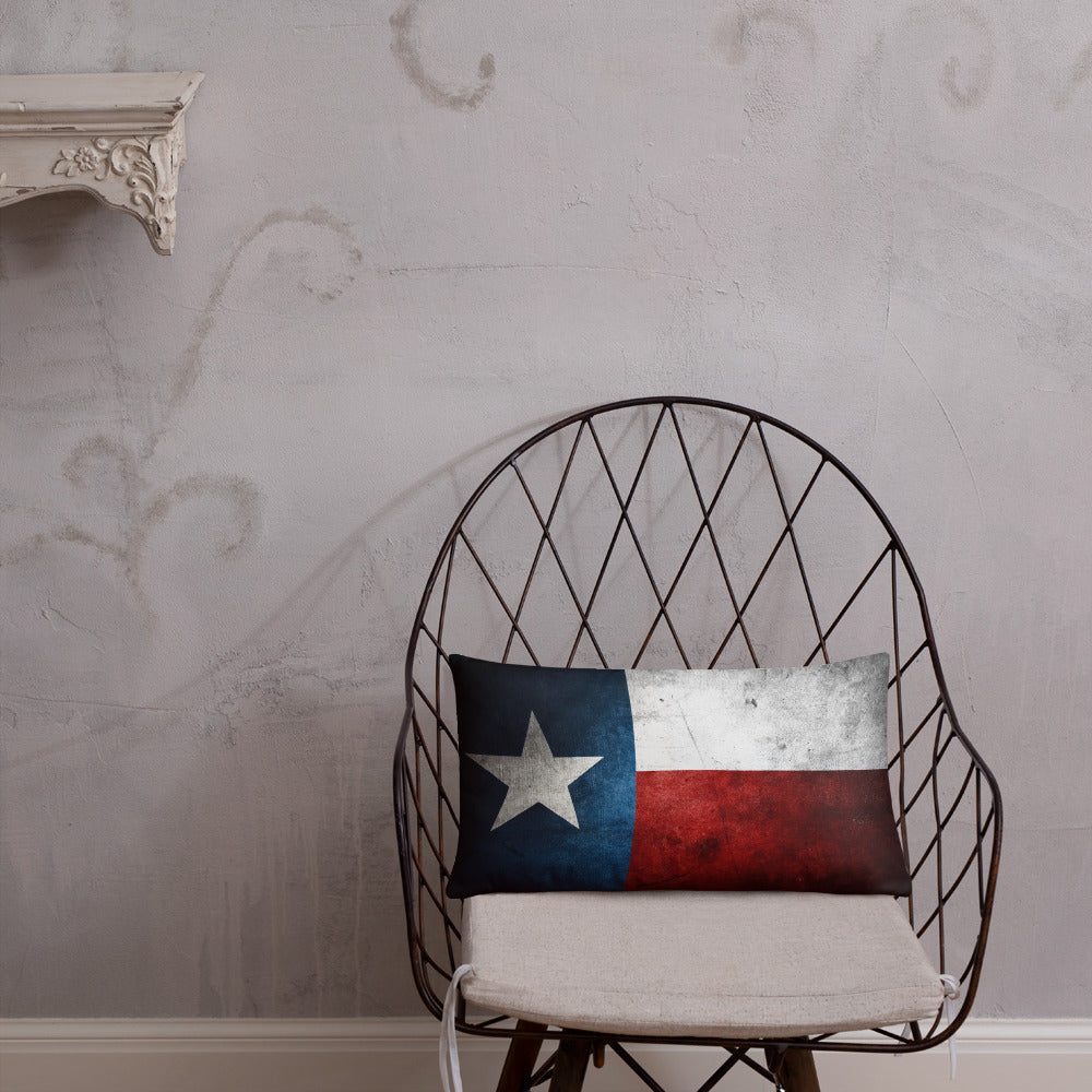 Lone Star State Pillow