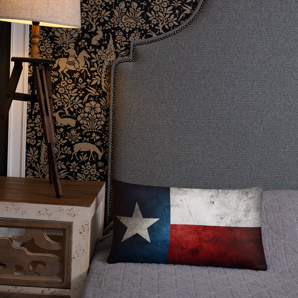 Lone Star State Pillow