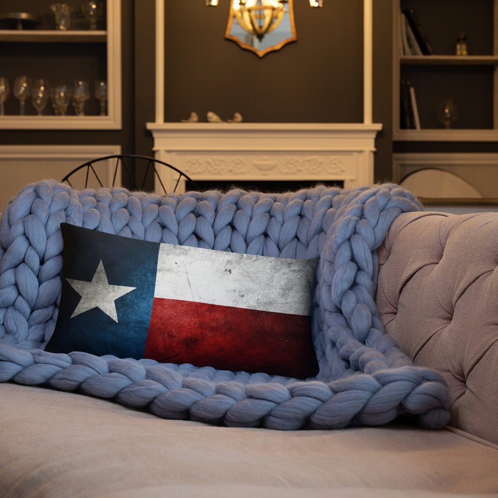 Lone Star State Pillow